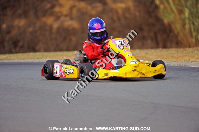 DSC_3981 copie.jpg